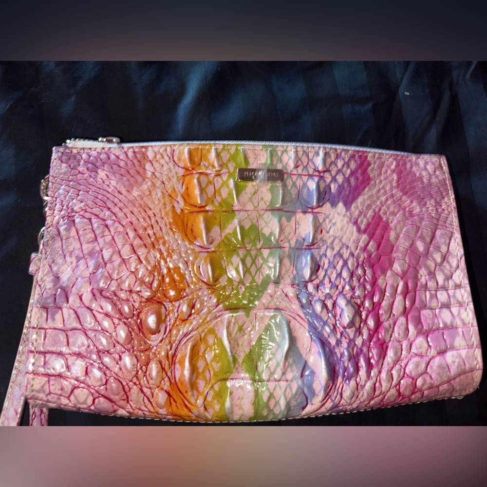 Rainbow Brahmin Clutch